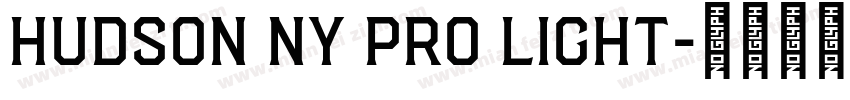 Hudson NY Pro Light字体转换